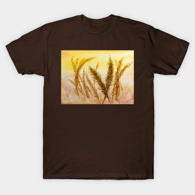 Wheat T-Shirt by Tstafford